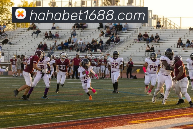 hahabet官网平台生态图