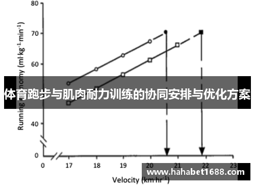 体育跑步与肌肉耐力训练的协同安排与优化方案